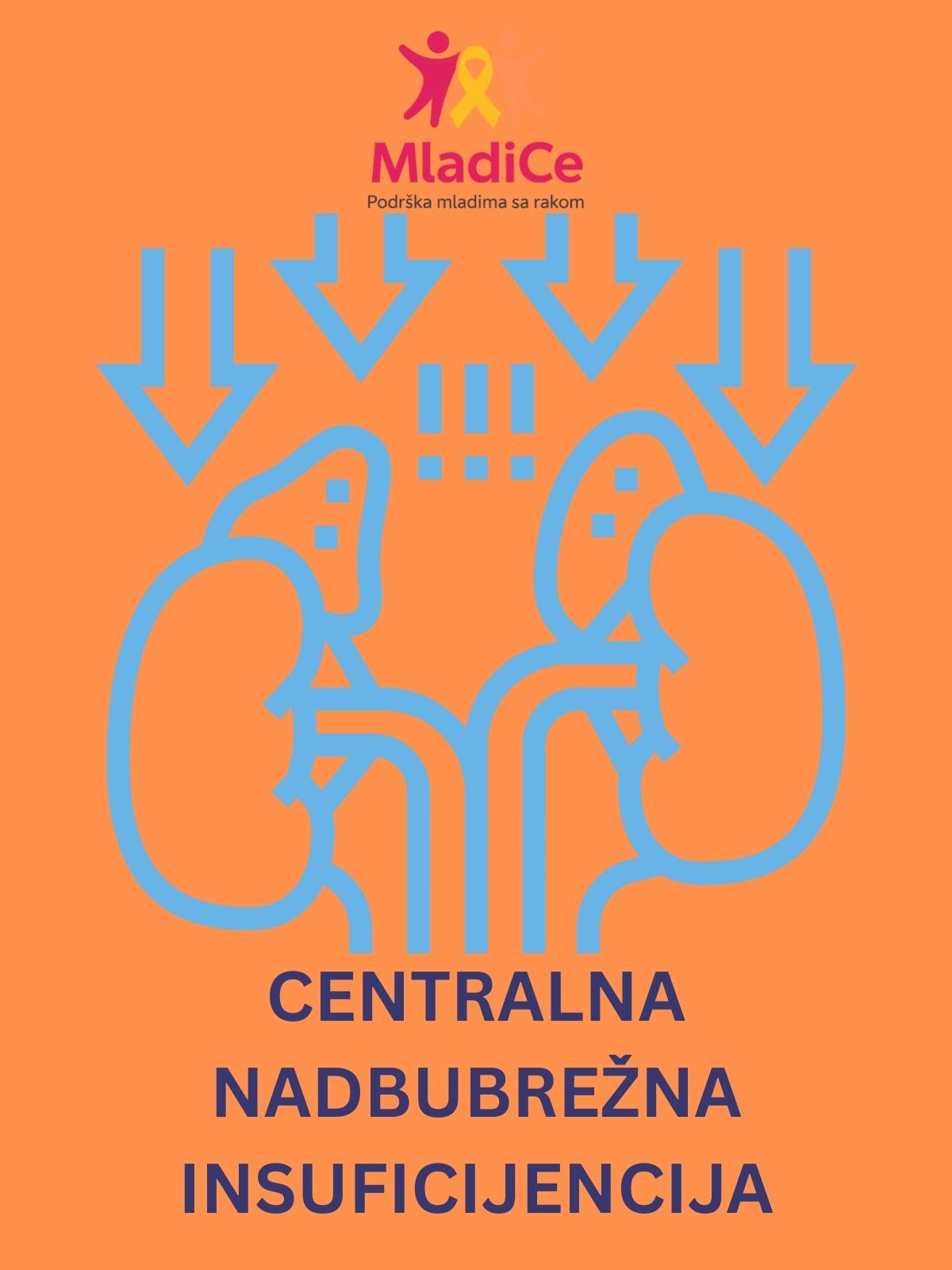 Naslovna: Centralna nadbubrežna insuficijencija