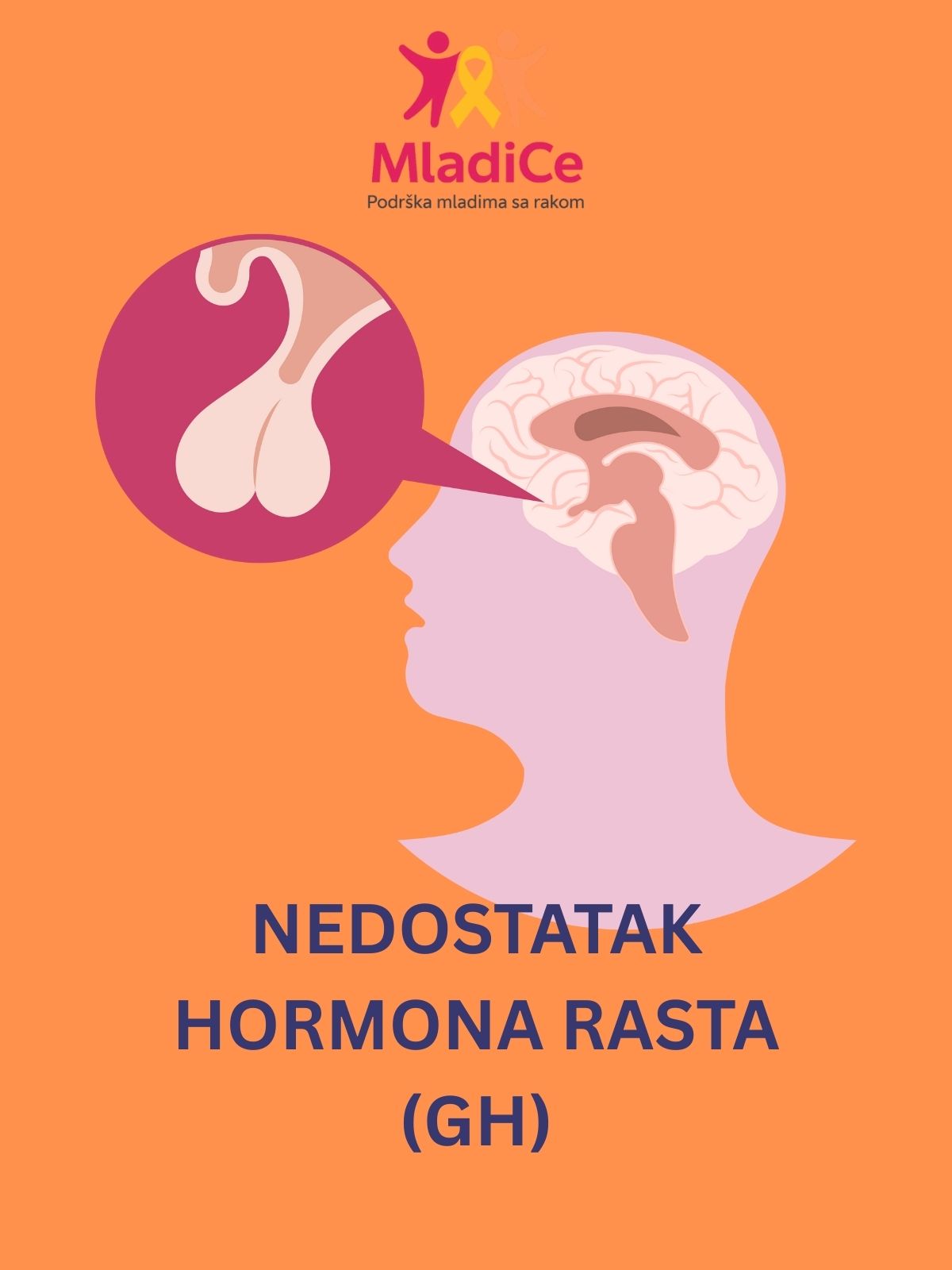 Naslovna: Nedostatak hormona rasta (GH)