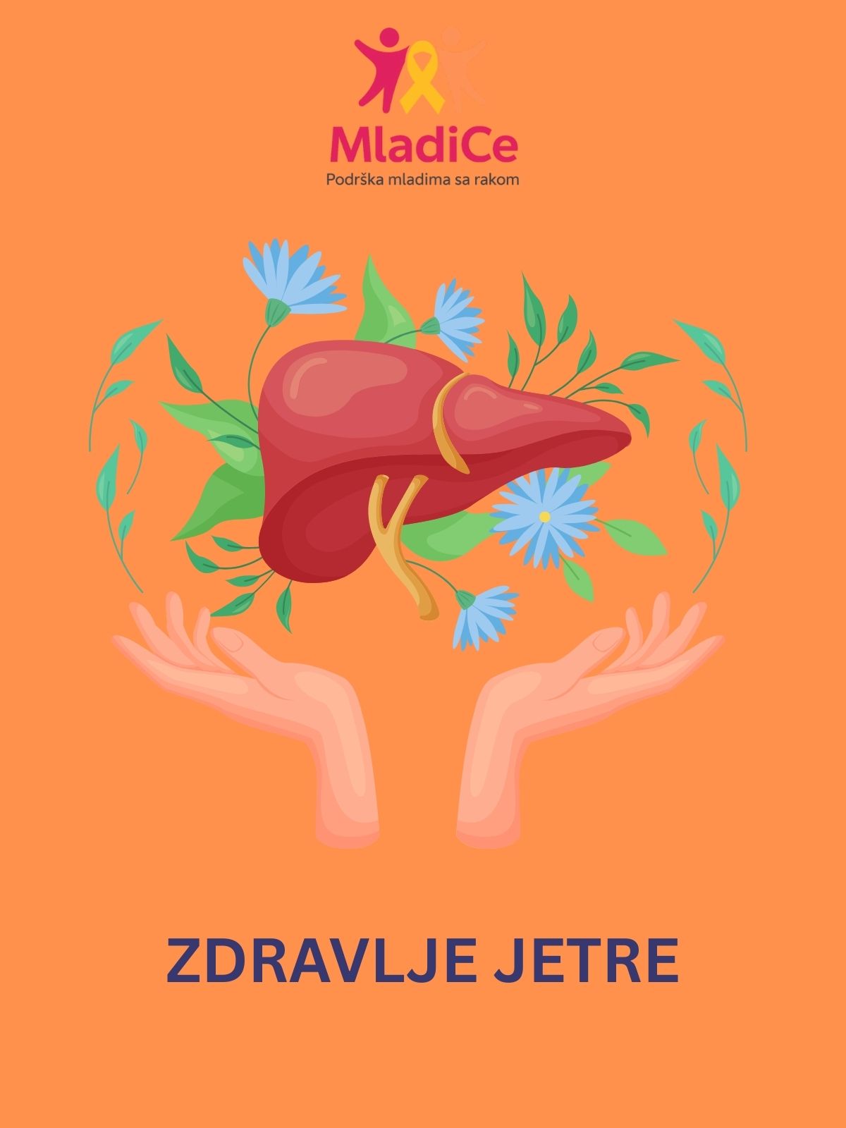 Naslovna: Zdravlje jetre